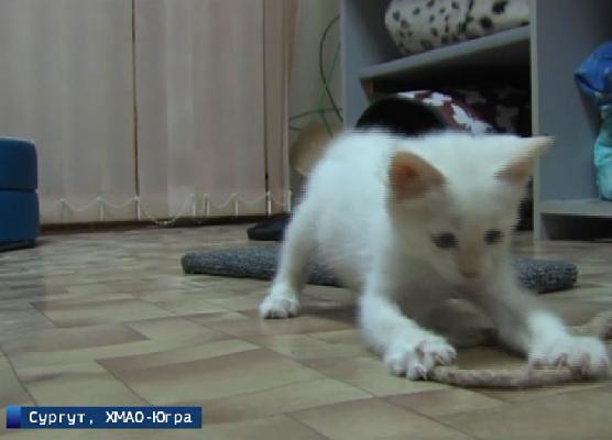 � ������� ��������� ���� ��� �����