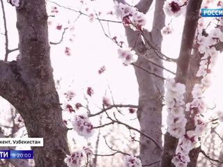 ����� ��������� ������� � ������, ������� ���� � �� ������� ������� �������� ������