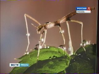 ������������� ������ �� ������... � ������� ���