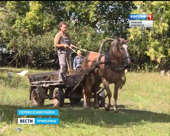 �������� �������� ����� ����� ������������� ��������